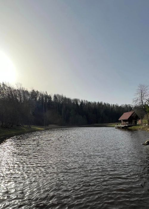 Luigepaar ja sinitavad õied Kütiorus